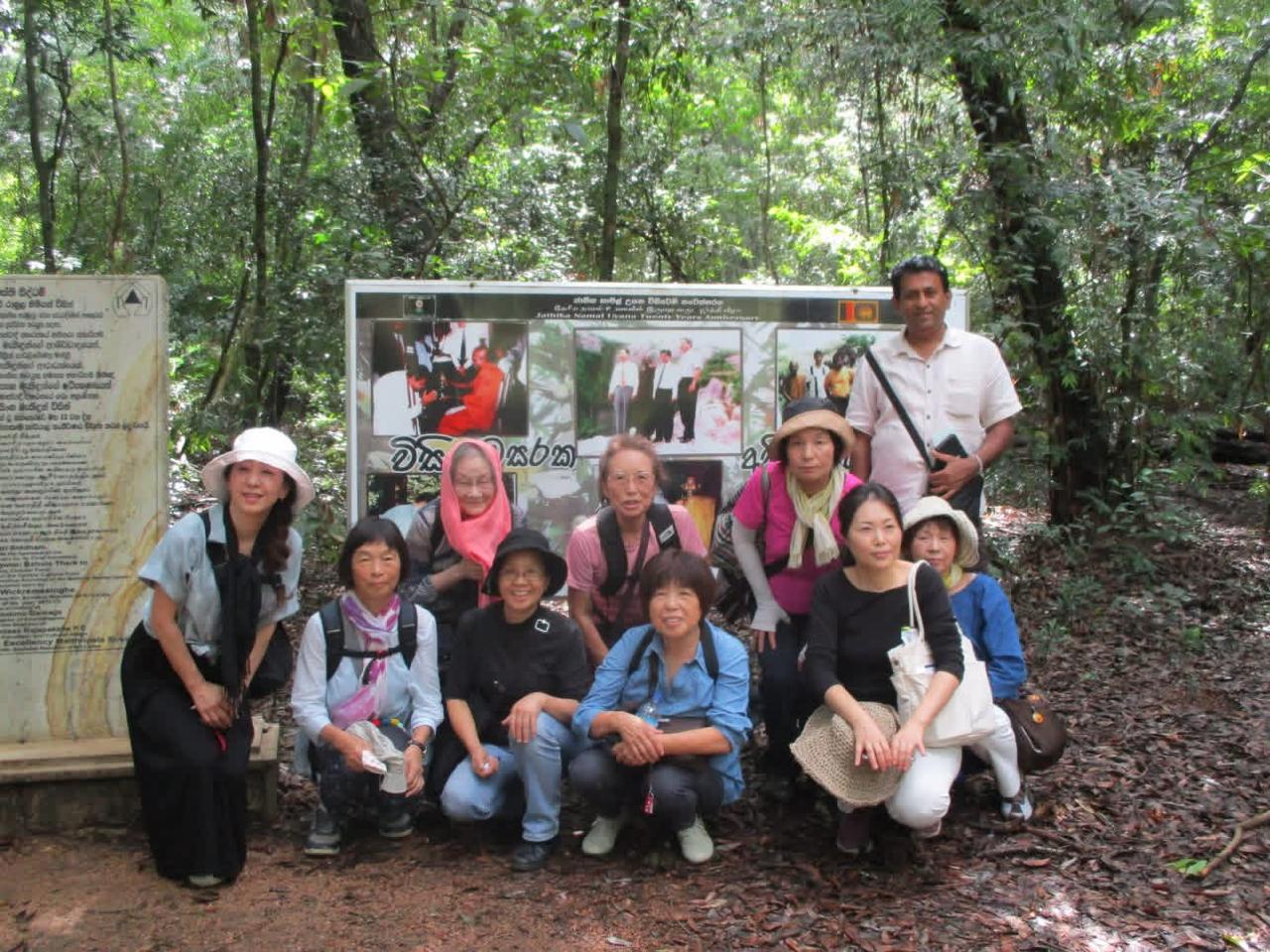 Guardian monk forest