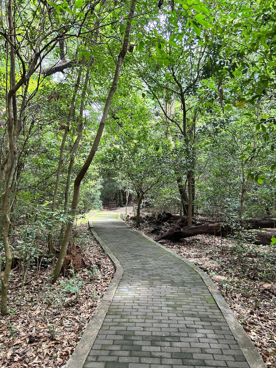 Wildlife at sanctuary