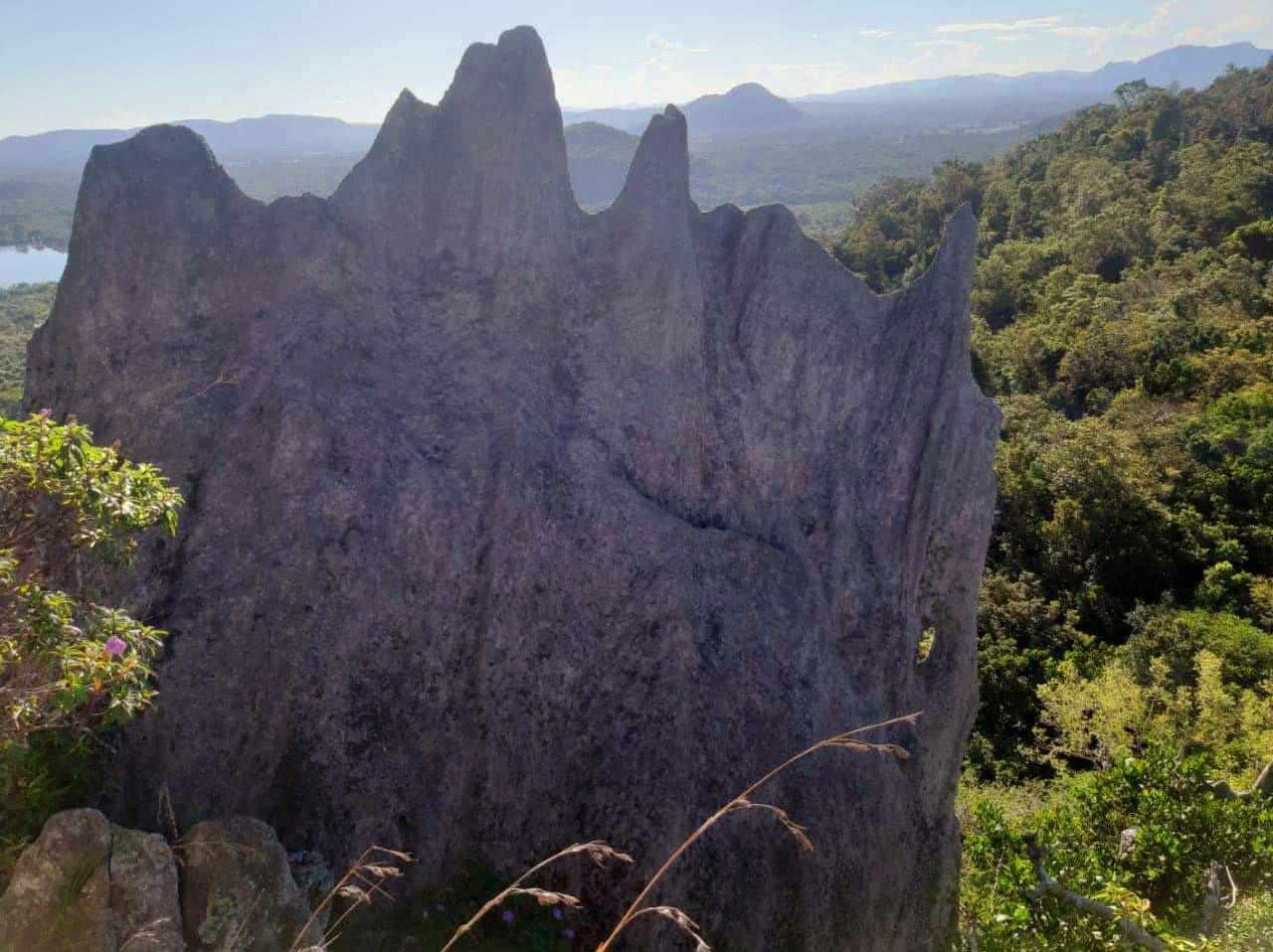 Quartz mountain view from forest