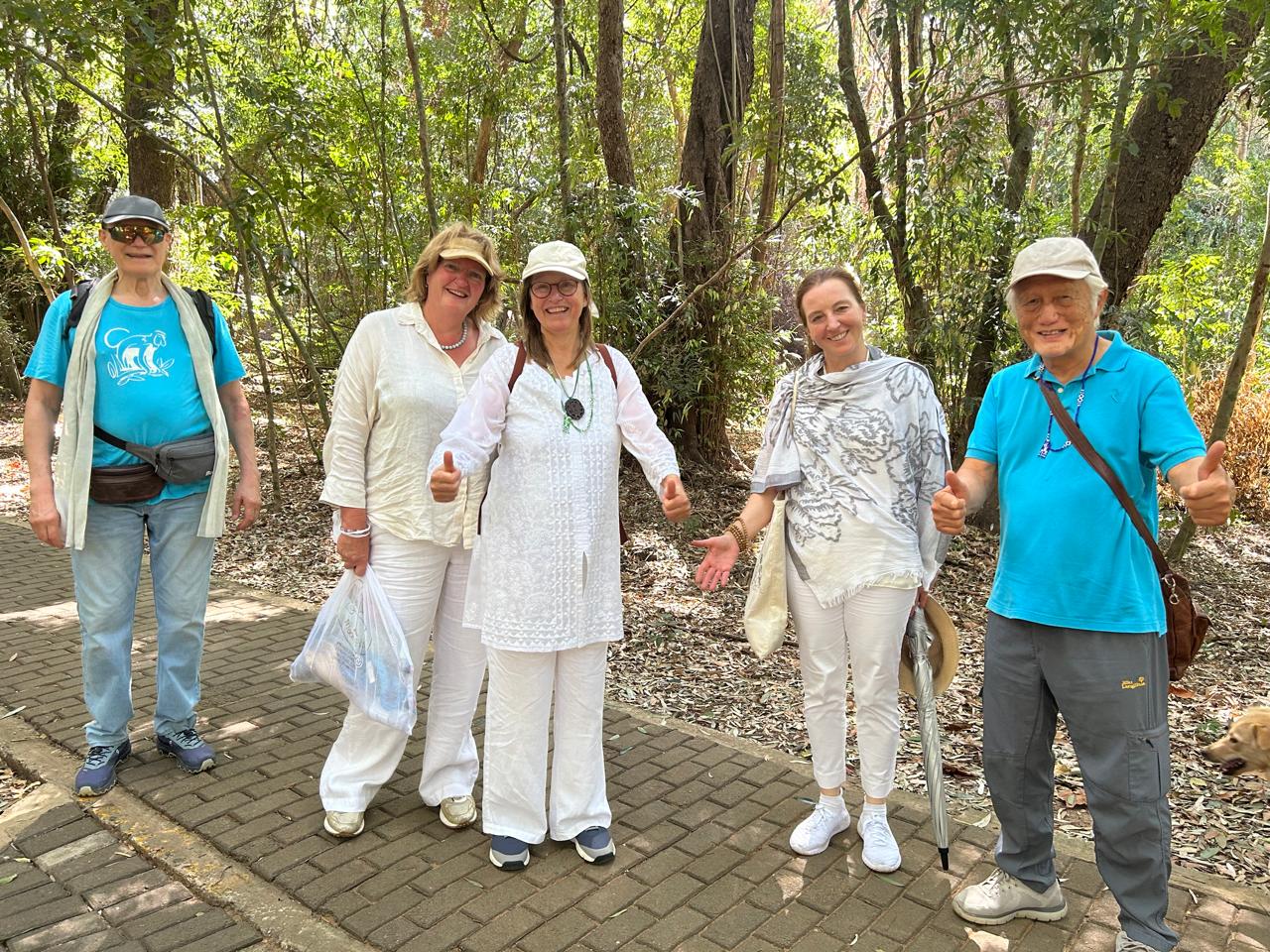 Forest birds birdwatching