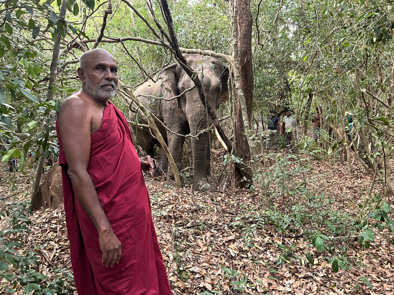 Ven. Wanawasi Rahula Thero in the forest