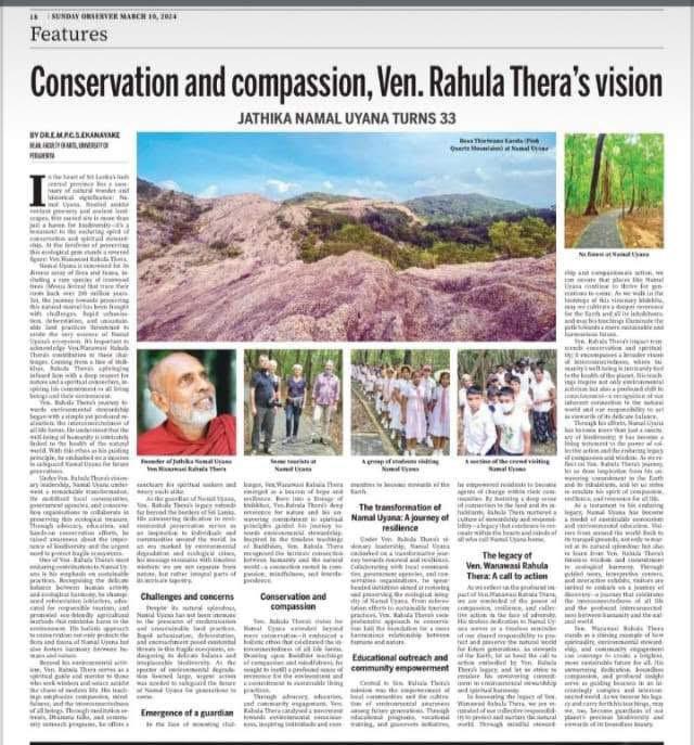 Nature and forest activity
