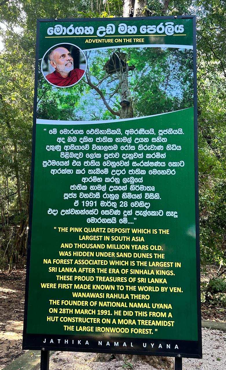 Forest heritage tour