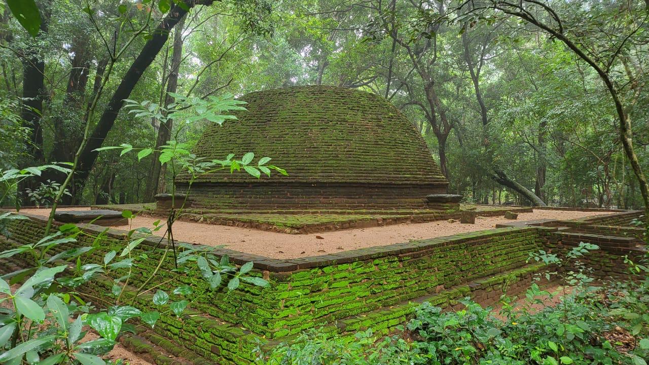 Forest trail meditation path